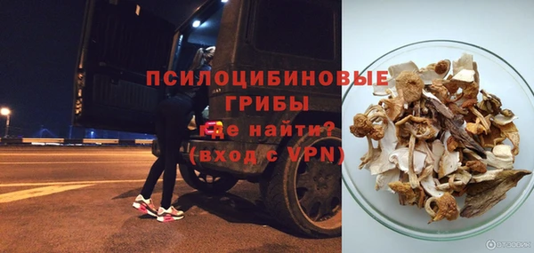 дурь Козельск