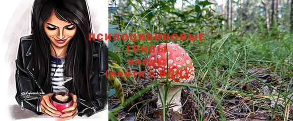 mdma Козловка