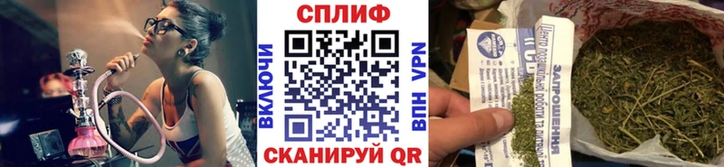 Каннабис конопля  Черноголовка 